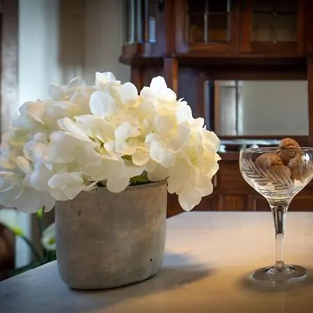 Alloggi In Storica Willa Pescia