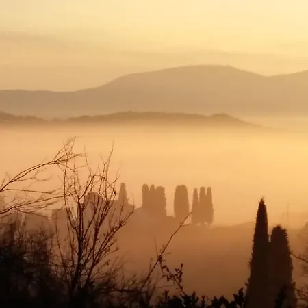 Alloggi In Storica Pescia