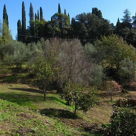 Colle Olivi Villa Pescia